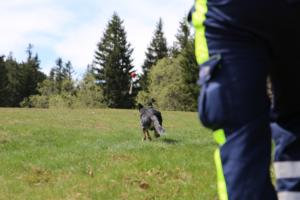 2018 Ausbildungswoche Arber